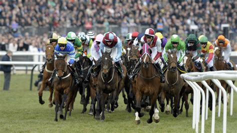cheltenham horse racing tips|Cheltenham Tips 2024 .